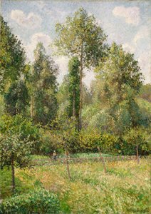 Pioppi, Éragny da Camille Jacob Pissarro