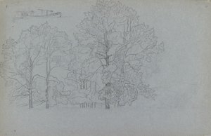 Studio di alberi, con un leggero studio di una chiatta da Camille Pissarro