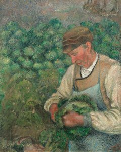 Il Giardiniere - Vecchio Contadino con Cavolo da Camille Pissarro