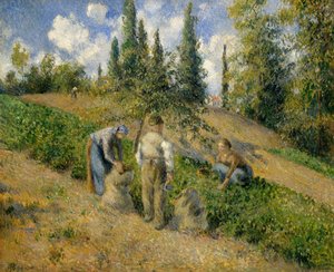 Il raccolto, Pontoise da Camille Jacob Pissarro