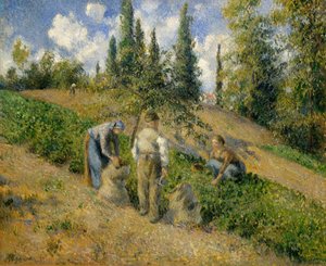 Il Raccolto, Pontoise da Camille Jacob Pissarro