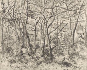 Il Bosco a L