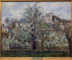 Orto e alberi in fiore in primavera a Pontoise (prugni in fiore). Dipinto di Camille Pissarro (1830-1903). 1877. Parigi, Museo d
