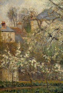 Orto e alberi in fiore in primavera a Pontoise da Camille Jacob Pissarro