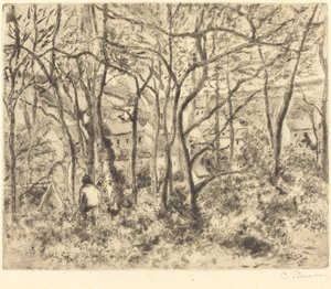 Paesaggio boscoso a L