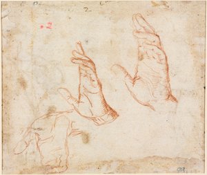 Studio di mani (verso) da Camillo Procaccini