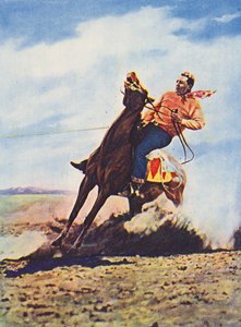 Cowboy che arresta rapidamente il suo cavallo (foto a colori)