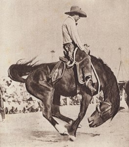 Cowboy in sella a un bucking bronco (foto b/n)