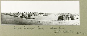 Linee di trasporto dei cammelli, Khan Yunis, ottobre 1917 da Capt. Arthur Rhodes