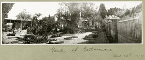 Giardino del Getsemani, 14 dicembre 1917 da Capt. Arthur Rhodes