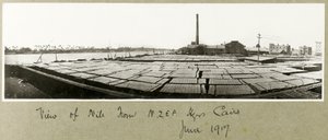 Vista del Nilo dalla sede centrale della N.Z.M.F.A., Il Cairo, giugno 1917 da Capt. Arthur Rhodes