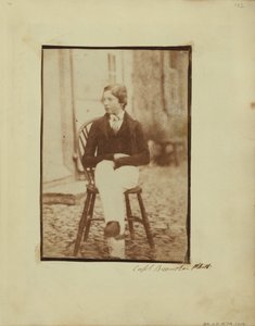 Ritratto di un ragazzo da Capt. Henry Craigie Brewster