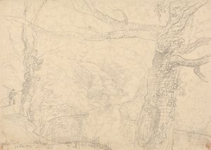 Holne Chase, 30 maggio 1833 da Capt. Thomas Hastings