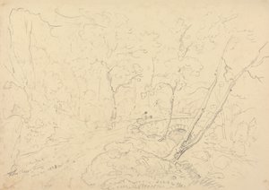 Ponte e fiume di Holne Chase, 30 maggio 1833 da Capt. Thomas Hastings
