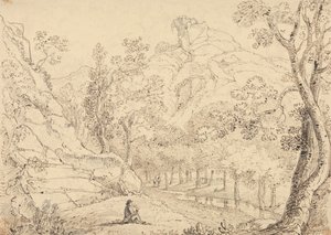 In Bradley Vale, maggio 1833 da Capt. Thomas Hastings