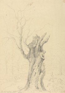 Nel Parco di Lord Yarborough, Appuldurcombe, Isola di Wight