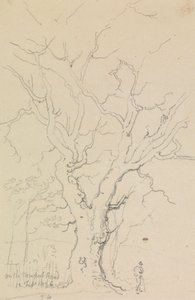 Sulla strada di Newport, 12 febbraio 1826 da Capt. Thomas Hastings