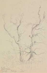 Sulla Strada di Newport, Isola di Wight da Capt. Thomas Hastings