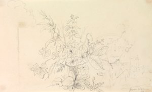 Schizzo di Piante e una Pietra Miliare dalla Natura, 3 Giugno 1826