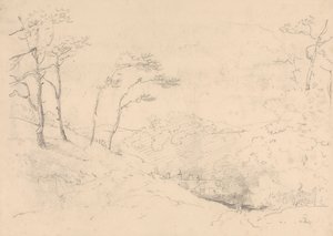 Schizzo di Alberi e Colline sopra la Fattoria Barton, Isola di Wight da Capt. Thomas Hastings