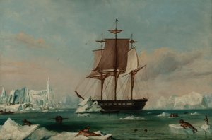 USS Vincennes nella baia di Disappointment (olio su tela) da Captain Charles (attributed to) Wilkes