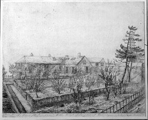 Vista del frutteto a ovest della Longwood House sull