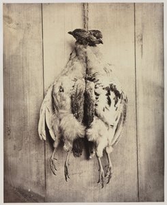 Pernici recto, Tomba di L.D. Campbell verso, c. 1861 da Captain N. Baily