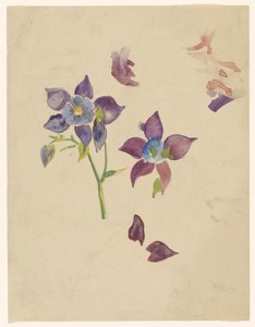 Studio di fiori