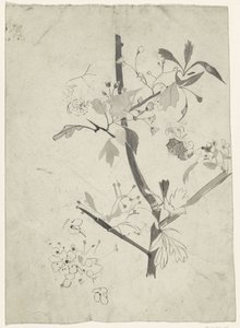 Ramo con fiori da Carel Adolph Lion Cachet