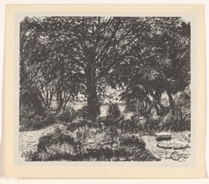 Giardino con grande albero da Carel Adolph Lion Cachet