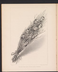 Frusta con teste dei membri del governo provvisorio francese, 1848