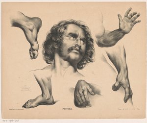 Testa di un uomo, piedi, mani e braccia da Carel Christiaan Antony Last