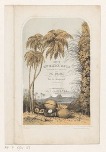 Paesaggio tropicale