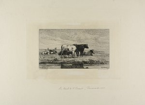 La Banca d