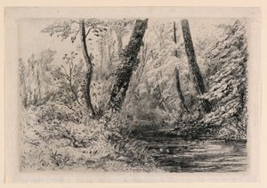 Souvenir des Cressonnières à Veules da Carel Nicolaas Storm van 