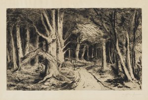 Sentiero nella foresta da Carel Nicolaas Storm van s Gravesande