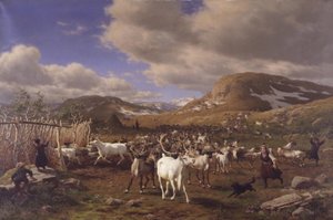Un branco di renne viene condotto al luogo di mungitura. Motivo dalle alte montagne a nord di Røros