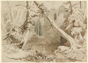 Una chiesa in rovina nella foresta