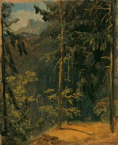 Sentiero nel bosco nell