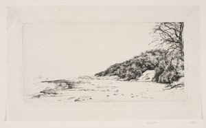 La scogliera sul mare