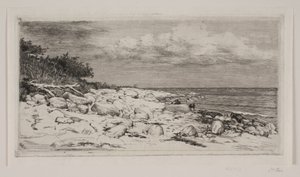 Costa rocciosa da Carl Bloch