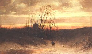 Paesaggio boscoso al tramonto