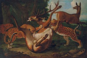 Leopardi che attaccano un cervo in un paesaggio da Carl Borromaus Andreas Ruthart