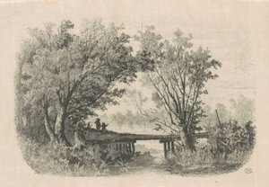 Salici da Carl C. Brenner