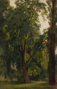 Bosco a Konigswusterhausen da Carl Constantin Steffeck