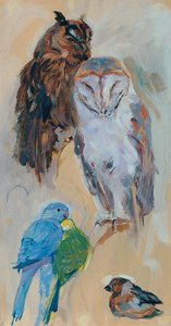 Studio sugli animali di Schönbrunn da Carl Fahringer