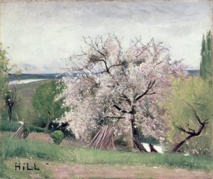 Albero da frutto in fiore, Bois-le-Roi da Carl Fredrik Hill