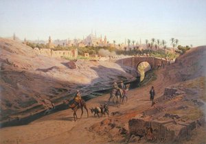 Veduta del Cairo da nord con la Moschea Bianca, una delle 24 illustrazioni prodotte da G.W. Seitz, stampato c.1873 da Carl Friedrich Heinrich (after) Werner