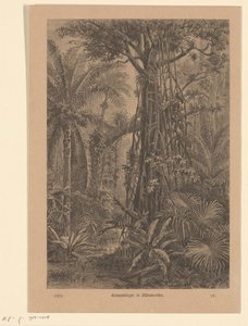 Paesaggio boschivo da Carl Gottlob Specht