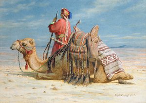 Un nomade e il suo cammello che riposano nel deserto